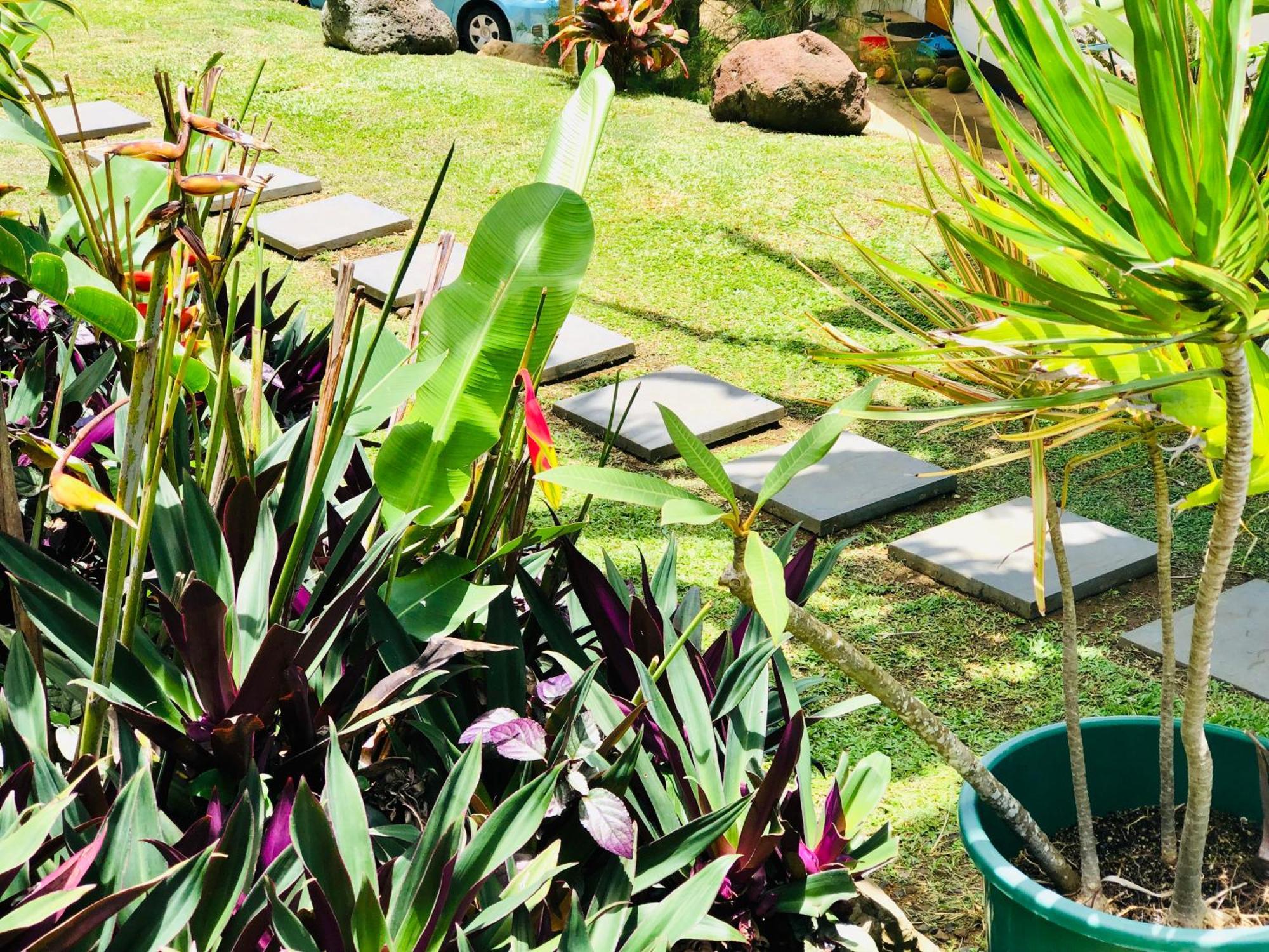 Muri Vista Villas Rarotonga Extérieur photo